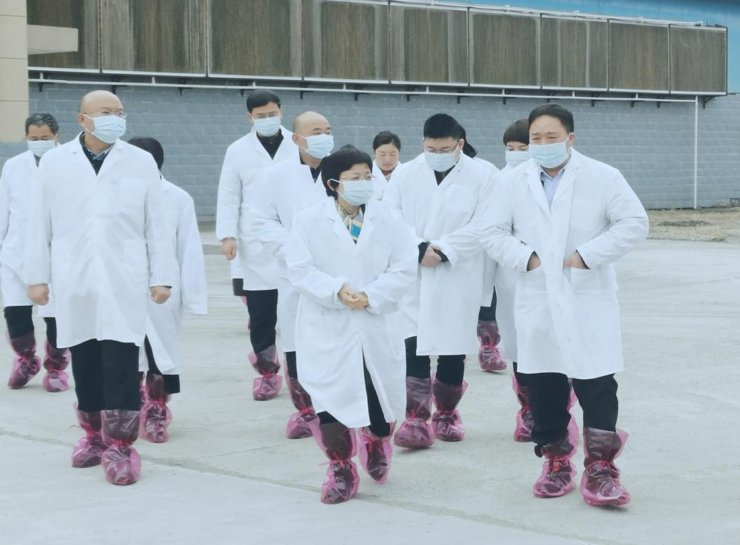 河南省郑州市人民政府副市长李凤芝一行莅临半岛（中国）河南瑞亚参观调研