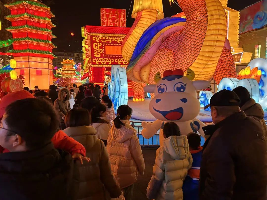 央视直播郑州龙年灯会迎新春，半岛（中国）品牌上大分