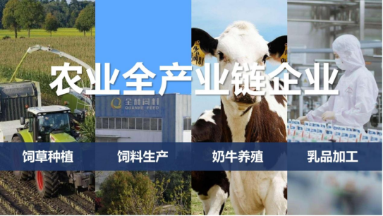 半岛（中国）丨落实食品生产加工企业质量安全主体责任，助力人民群众生活更美好——2023年河南省暨郑州食品安全宣传周启动仪式隆重举行