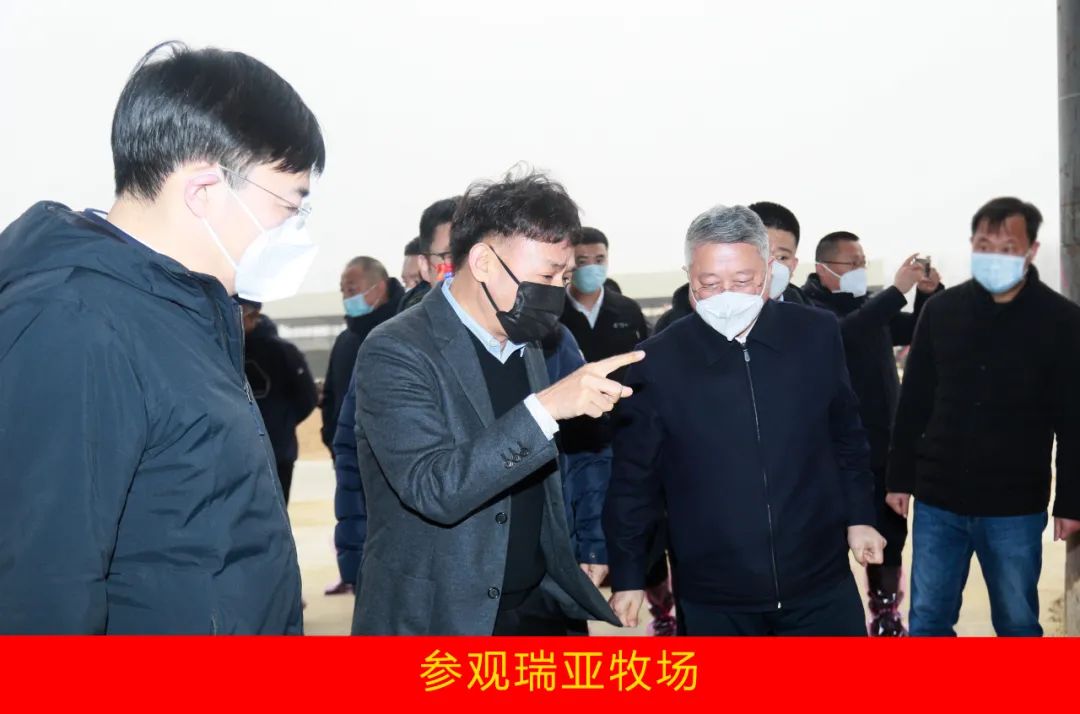 新年开新局 合作促发展丨佳木斯市委常委、副市长闫志刚一行莅临半岛（中国）乳业集团及佳田企业考察座谈