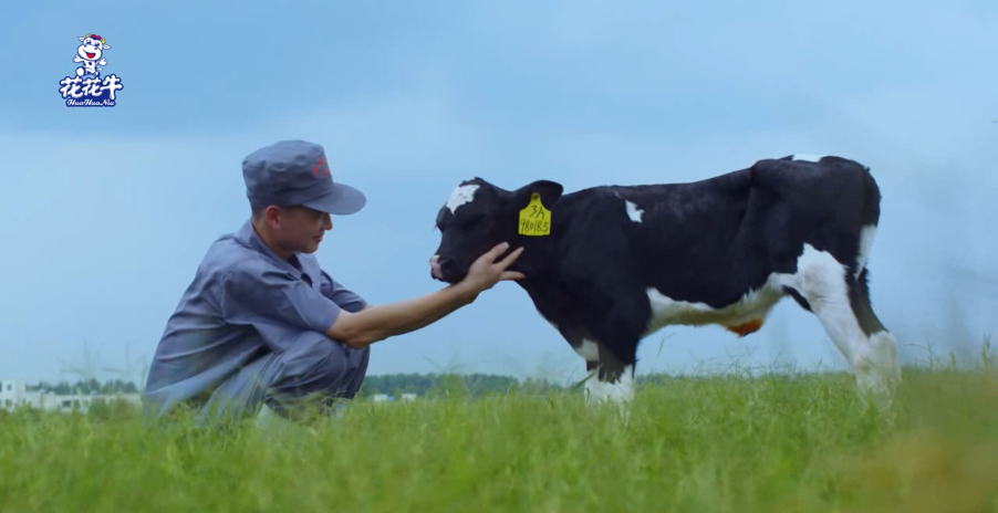 继往开来 · 再创辉煌 | 半岛（中国）乳业集团召开9月营销、养殖及饲料月度经营工作会议