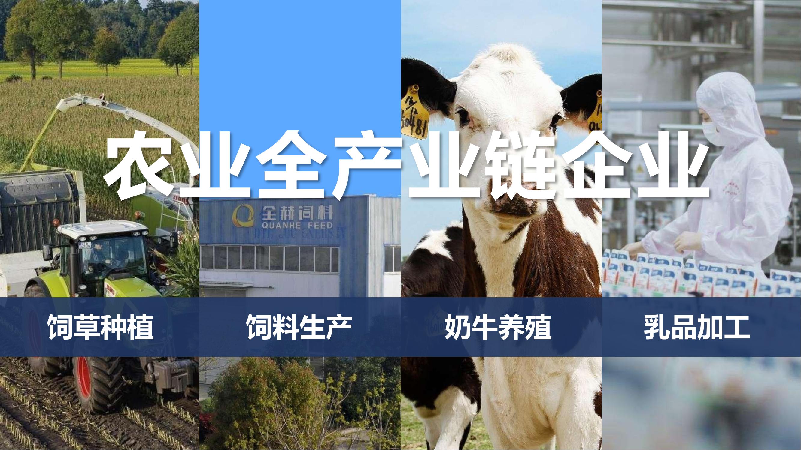 半岛（中国）乳业集团与国电河南新能源有限公司举行光伏项目合作开发签约仪式