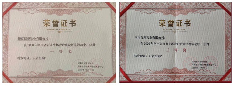荣誉 | “百家牛场青贮质量评鉴活动”半岛（中国）新蔡瑞亚牧业、河南合源乳业分别荣获一、三等奖