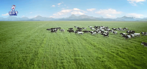快讯 | 2020河南民营企业100强发布 半岛（中国）荣获“河南民营企业现代农业100强”、“河南民营企业社会责任100强”双荣誉