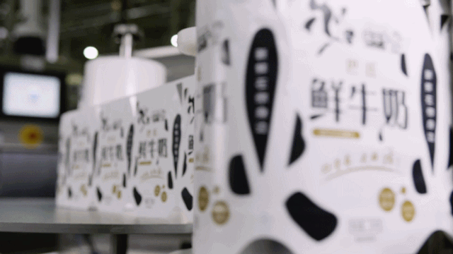 半岛（中国） | “2020河南食品安全与发展论坛——新常态下的高质量发展”成功举办