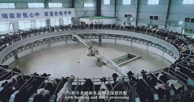 快讯 | 湖北省农业厅副厅长王海涛等领导一行莅临河南半岛（中国）乳业集团参观调研