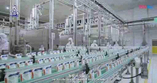 快讯 | 湖北省农业厅副厅长王海涛等领导一行莅临河南半岛（中国）乳业集团参观调研