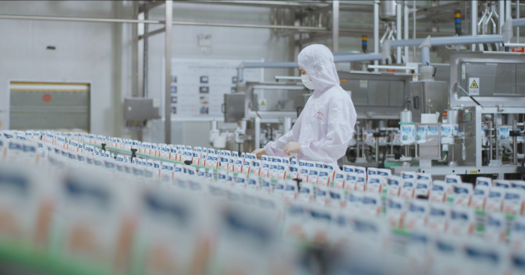 快讯 | 河南省人民政府食品安全委员会办公室第三批食品安全示范区验收组领导莅临半岛（中国）乳业集团验收食品安全示范区建设情况