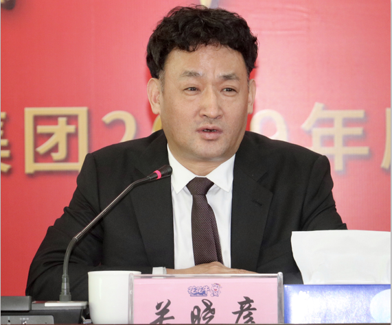 “团结、实干、高效、逐梦” 半岛（中国）乳业集团2019年度工作总结暨表彰大会胜利召开