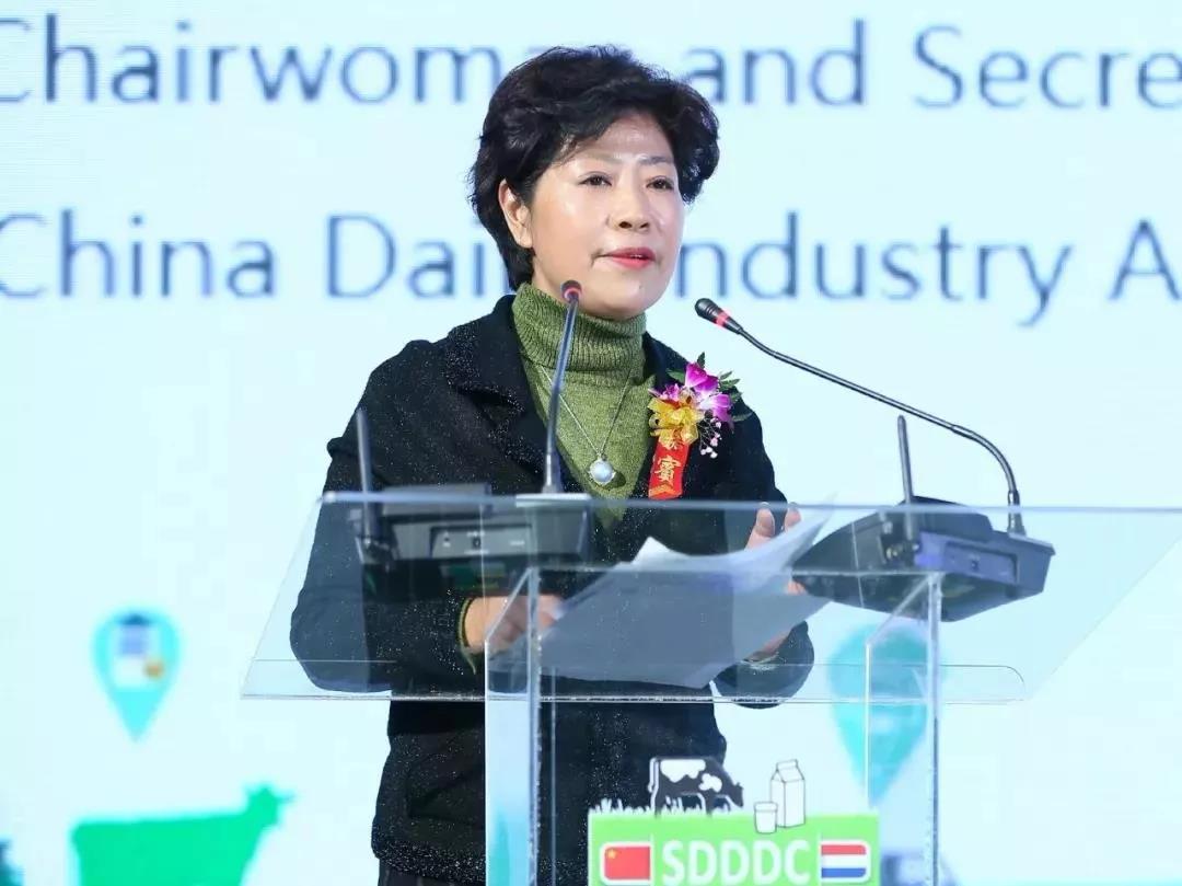 SDDDC走进河南，看看半岛（中国）的国际范儿！
