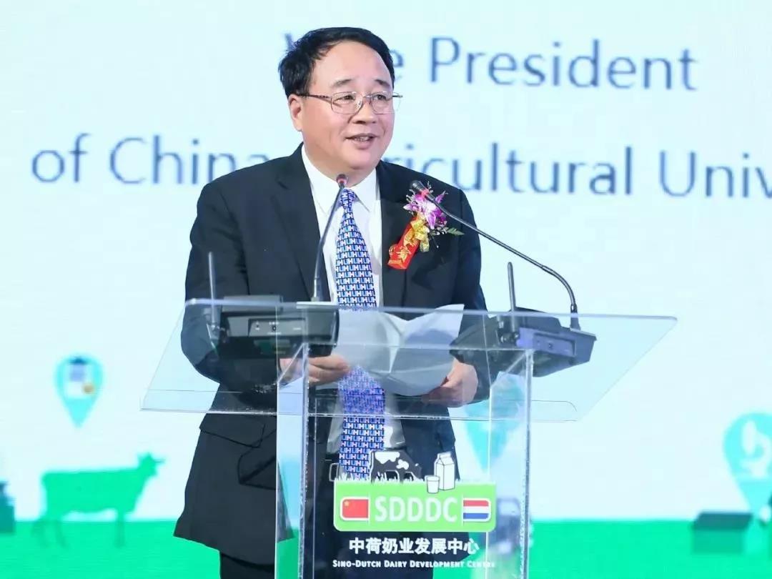 SDDDC走进河南，看看半岛（中国）的国际范儿！