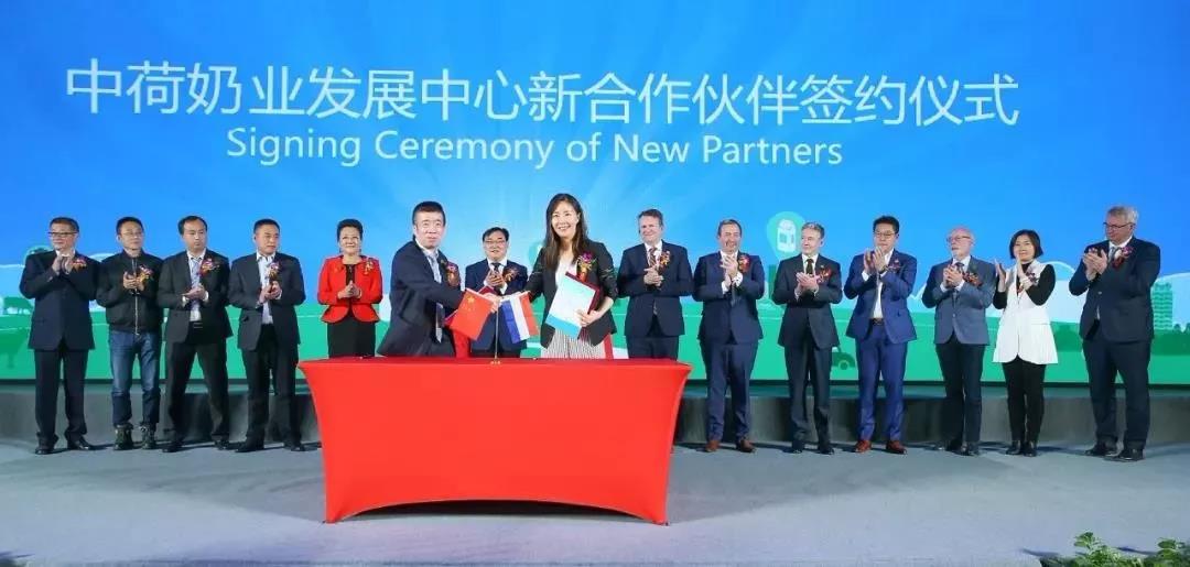 SDDDC走进河南，看看半岛（中国）的国际范儿！