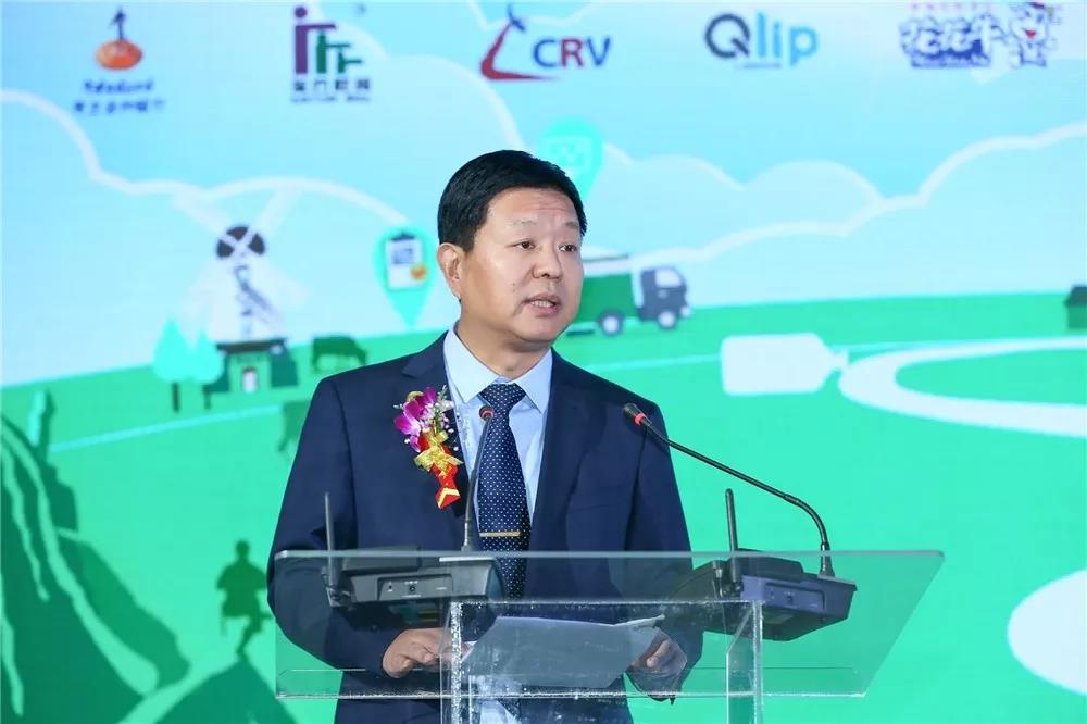 SDDDC走进河南，看看半岛（中国）的国际范儿！