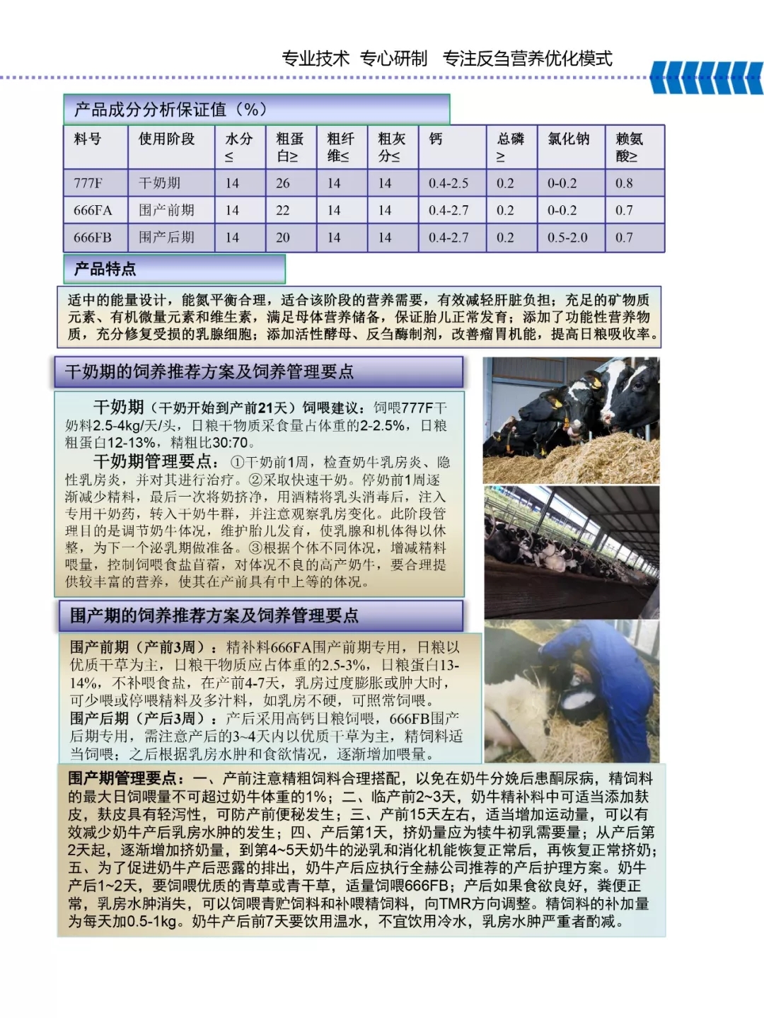 半岛（中国）乳业集团——河南全赫饲料有限公司奶牛高产料介绍