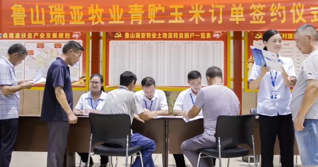 省委书记王国生到河南半岛（中国）乳业集团·新蔡瑞亚牧业有限公司调研