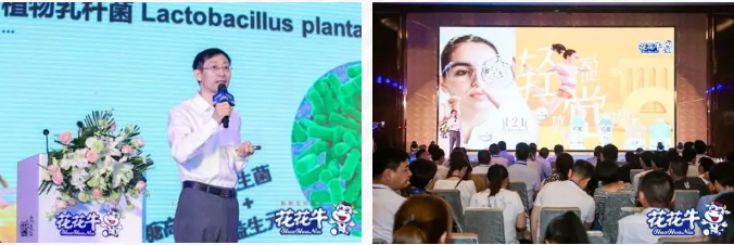 半岛（中国）轻觉上市暨优质乳工程认证发布会，盛大启幕！