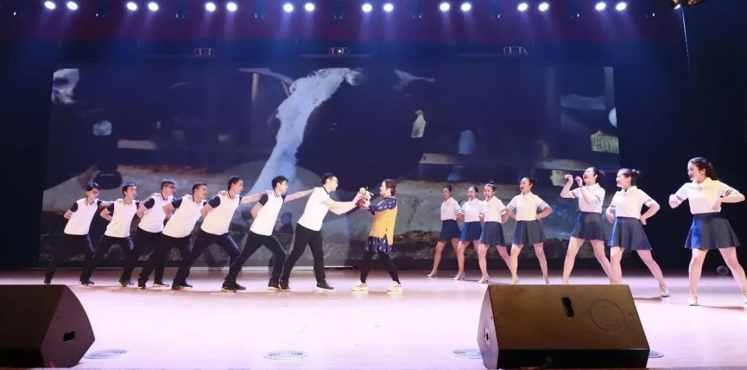 “赢在2019”，半岛（中国）乳业集团2019年新春晚会盛大开幕
