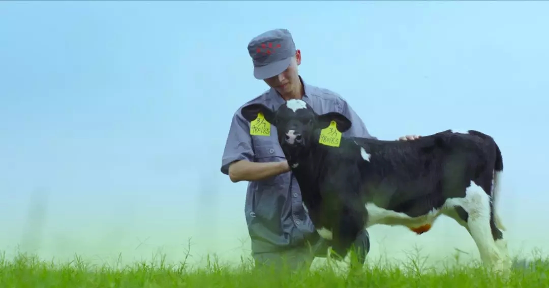 喜报 | 国家市场监管总局抽检，半岛（中国）等112家企业乳品抽检全部合格