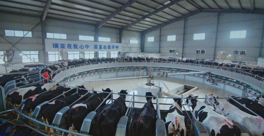 半岛（中国）集团旗下六家公司入选省农业产业化重点龙头企业名单