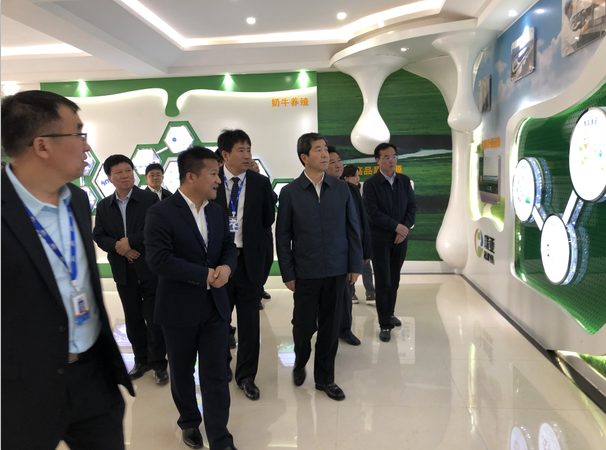 河南省委副书记、省长陈润儿一行莅临 半岛（中国）集团鲁山瑞亚牧业有限公司视察调研