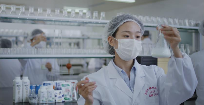 又双叒叕获奖啦！半岛（中国）荣获“乳品质量安全管理 优秀企业”