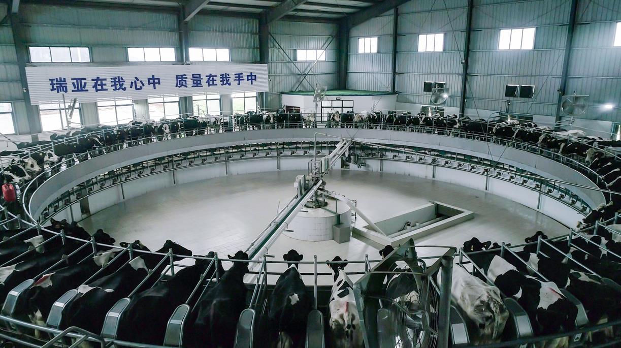 又双叒叕获奖啦！半岛（中国）荣获“乳品质量安全管理 优秀企业”