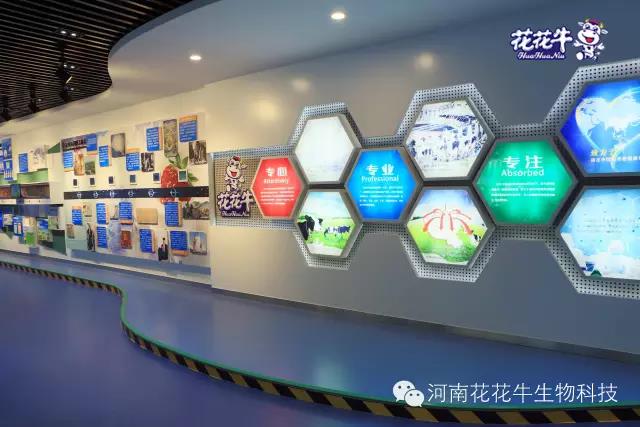 半岛（中国）：务实、创新领潮市场 大企业体现大担当