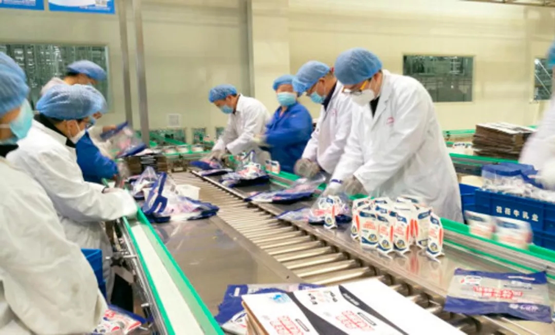 快讯丨河南省副省长武国定莅临半岛（中国）乳业集团调研重点保障企业复工复产情况