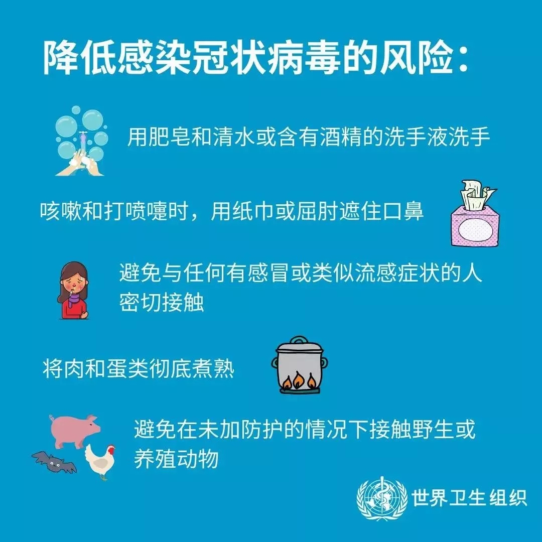 半岛（中国） | 共克时艰、遏制疫情，请相信国家力量！