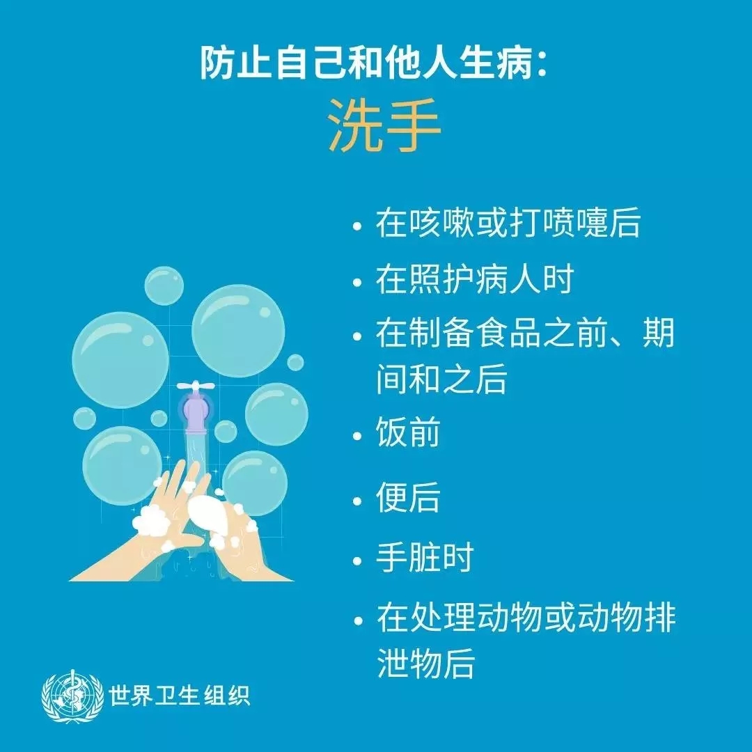 半岛（中国） | 共克时艰、遏制疫情，请相信国家力量！