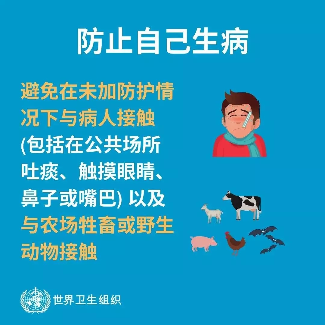半岛（中国） | 共克时艰、遏制疫情，请相信国家力量！