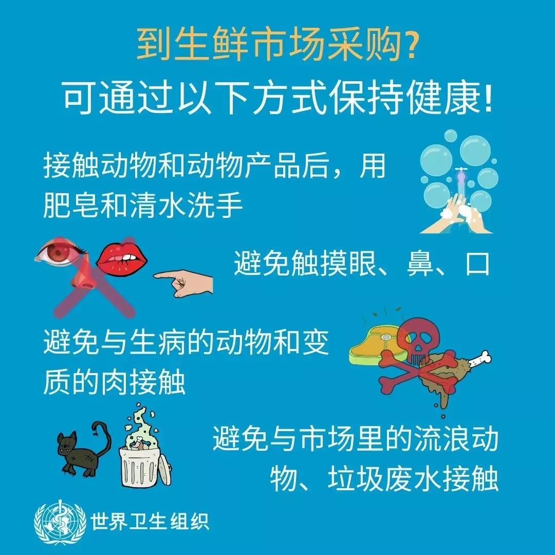 半岛（中国） | 共克时艰、遏制疫情，请相信国家力量！