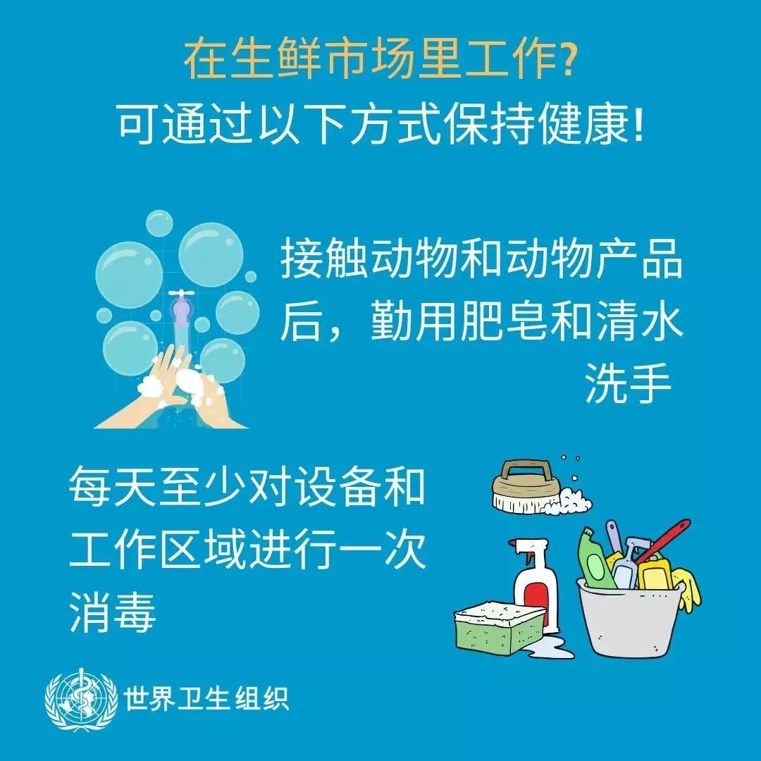 半岛（中国） | 共克时艰、遏制疫情，请相信国家力量！