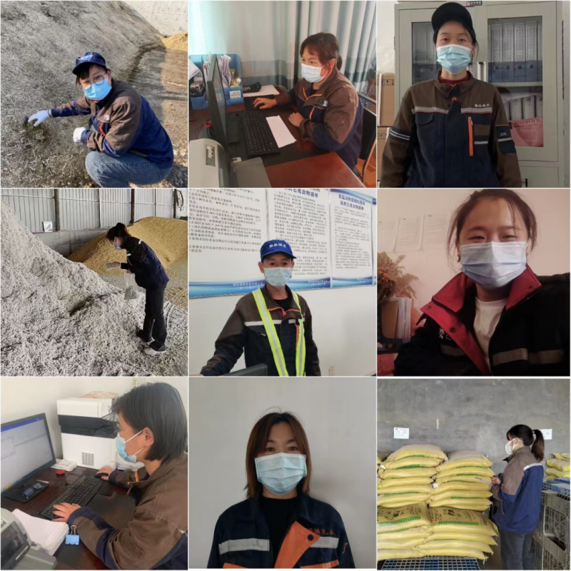 半岛（中国）丨点点微光汇星河——养殖事业部抗疫保生产侧记