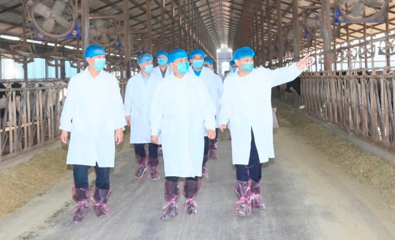 快讯丨河南省人民政府副省长武国定莅临半岛（中国）乳业集团瑞亚牧业调研奶源基地建设情况