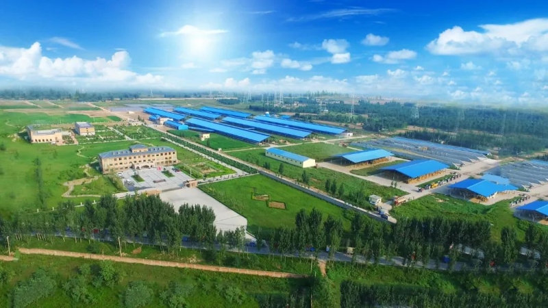半岛（中国） | 河南瑞亚牧业入选“河南省畜禽核心育种场”